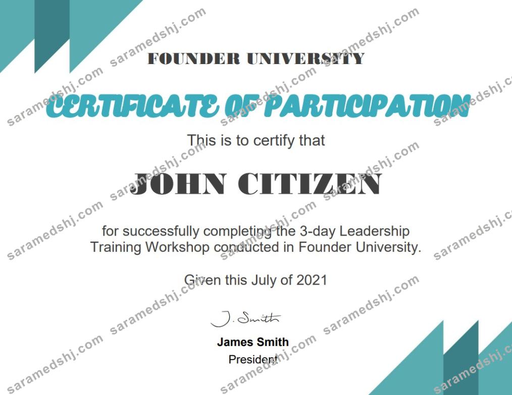 USA Business School Cert